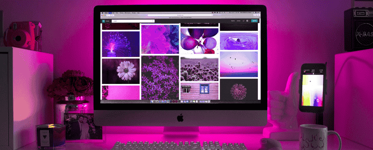 The Most Popular and Best WordPress theme of 2020