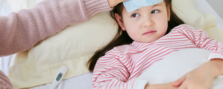 How To Fulfill Your Duty as a Human Being in Corona Crisis