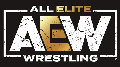 All Elite Wrestling is shaking up the wrestling world!