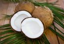 Coconut Derivatives
